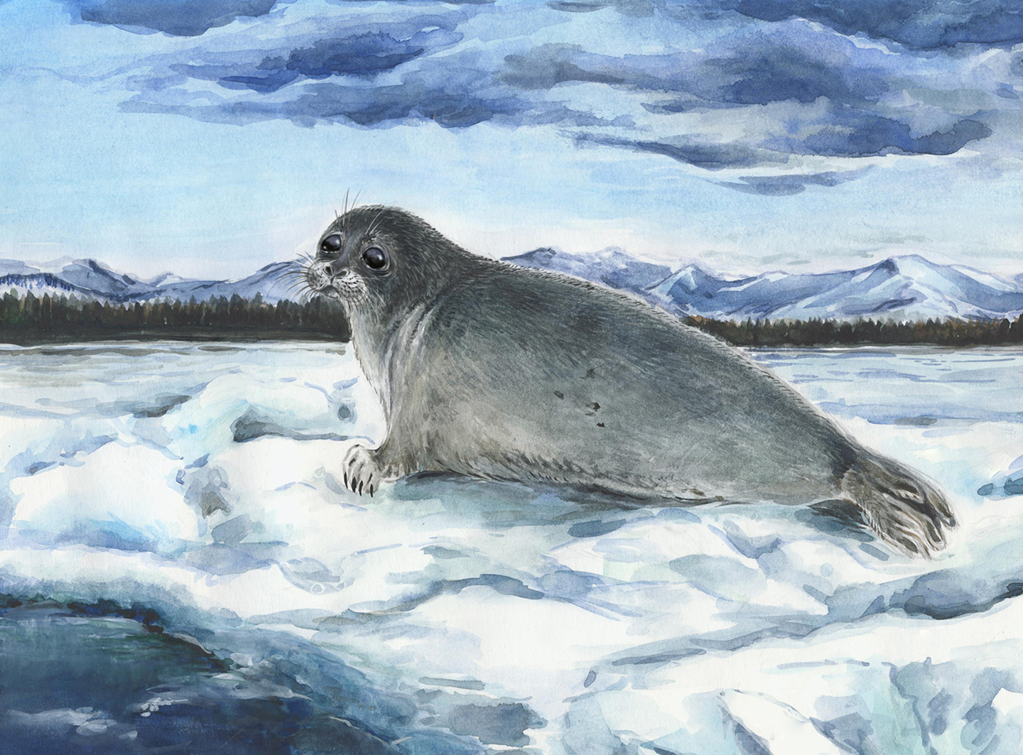 Взгляд с Байкала