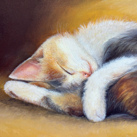 Сладкий сон