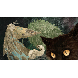 Illustration for the book «The other history of nature», Ketebe publishing house