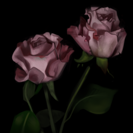 Живописные розы