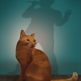 монолог под софитами