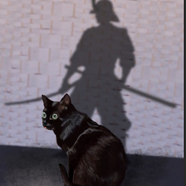 More Than Meets the Eye