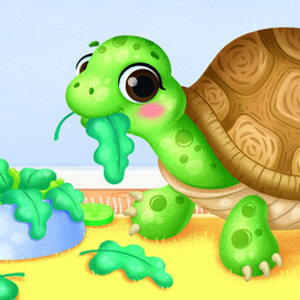 Черепаха, издательство "Маламалама"