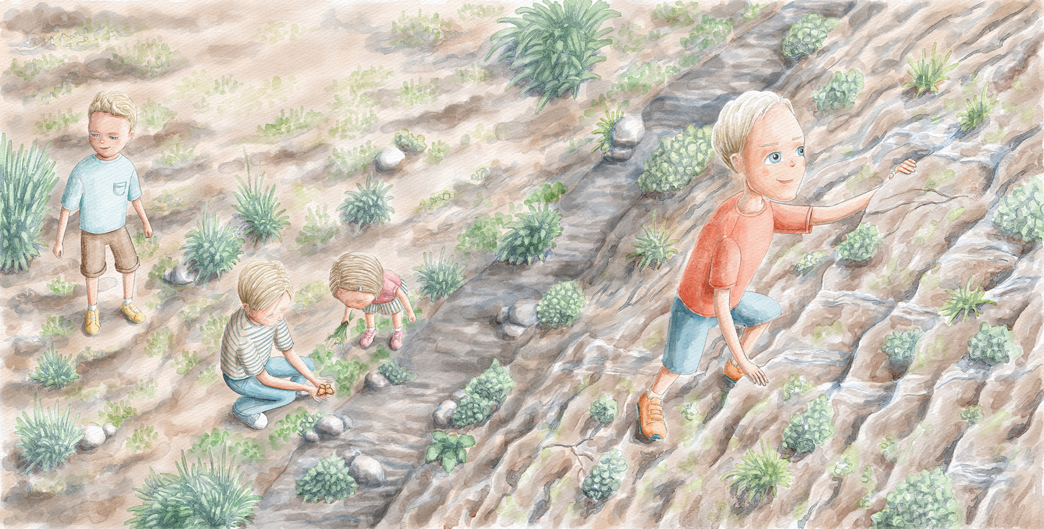 Иллюстрация для книги "First to be big"