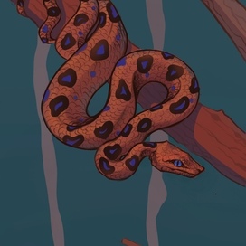 "The smoke of the ashes"