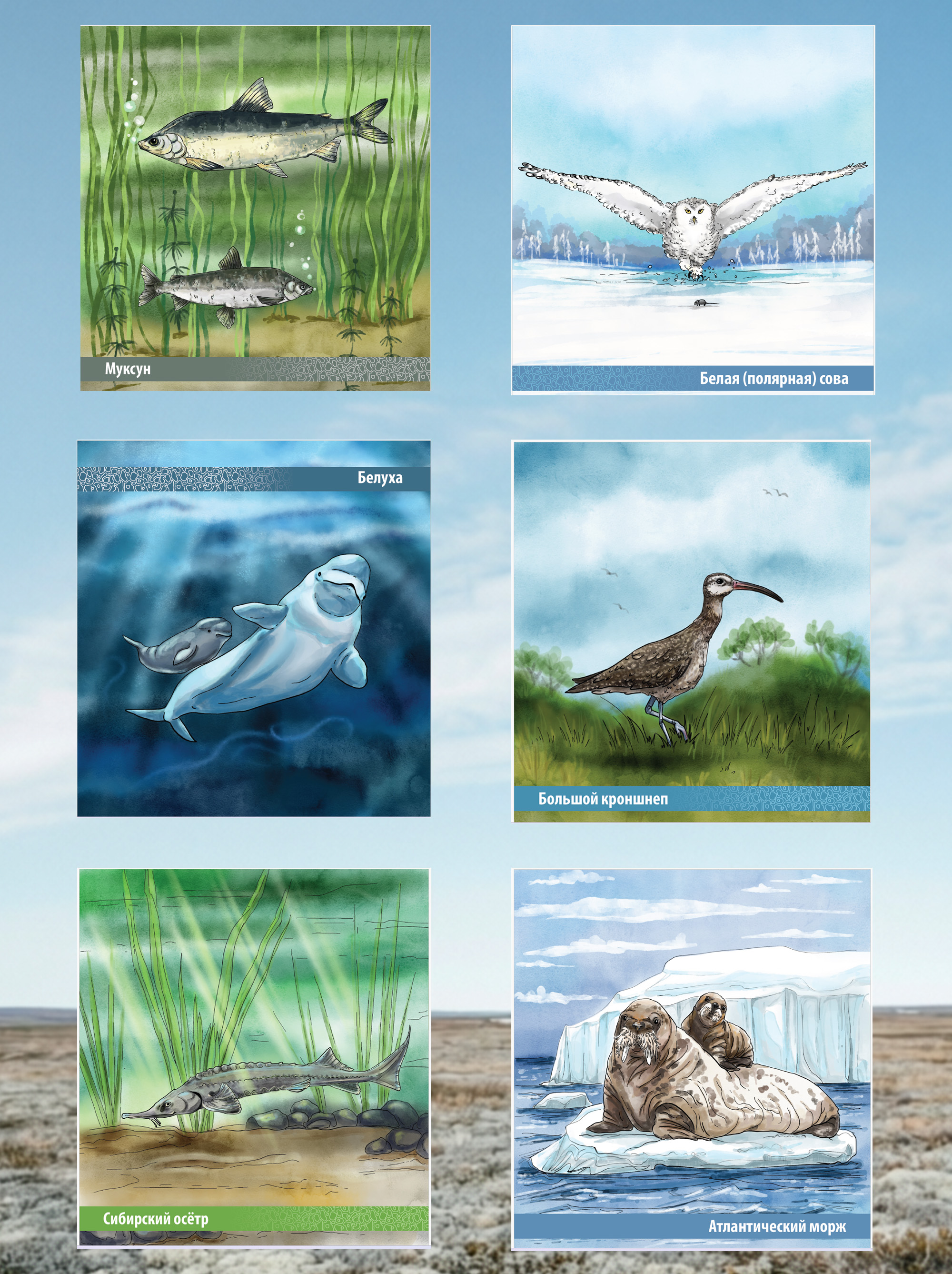 Буклет Газпром Экология