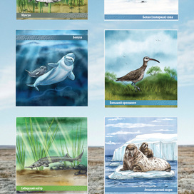 Буклет Газпром Экология