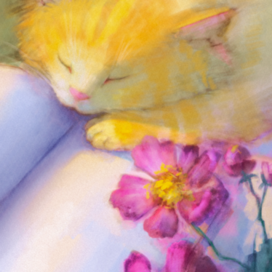 Котик на солнышке