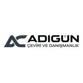 "ADIGUN Translations and Consulting" logo for website