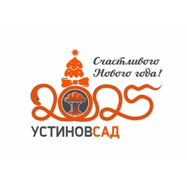 "UstinovSad" illustration for social media