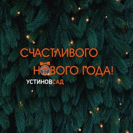 "UstinovSad" illustration for social media