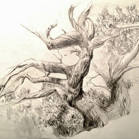 Рисунок Дерево