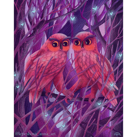Color in Illustration. Owls