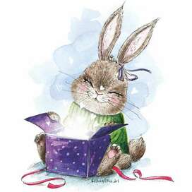 Let your dream come true