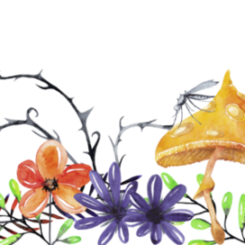 Mosquito (fantastic botany)