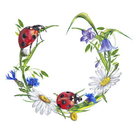 Wildflowers wreath with ladybugs