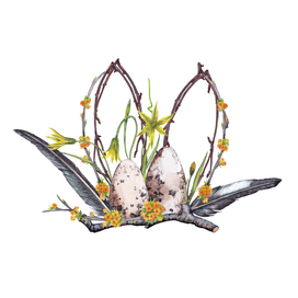 Awakening nature Spring composition