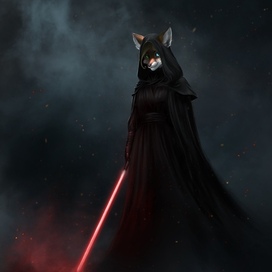 Order: Star Wars Fan Art