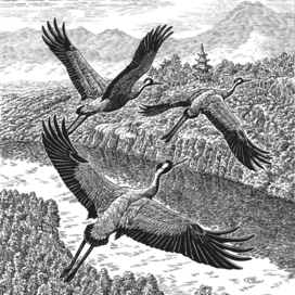 Over the border river.