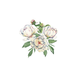 Peony white. Bouquet of buds and flowers.