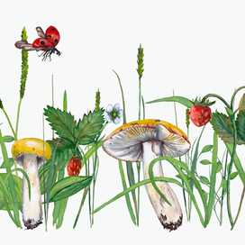 Russula mushrooms and strawberries in grass.