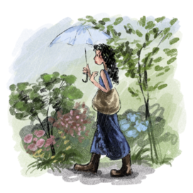 Rainy garden