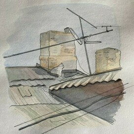 cat on the roof