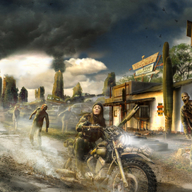 Days Gone