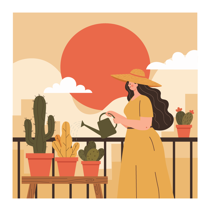 Cactus on the balcony
