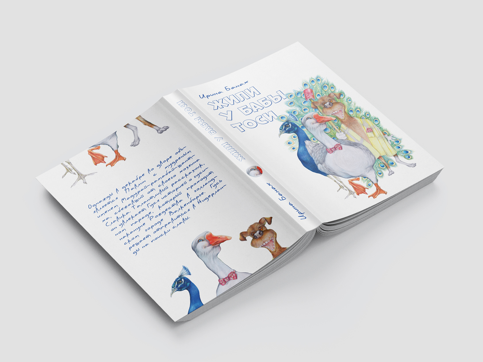 Обложка для книги «Жили у бабы Тоси»