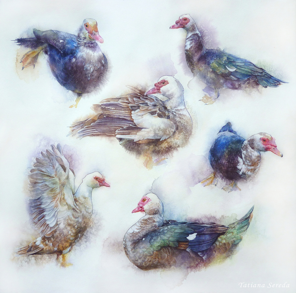 Watercolor geese