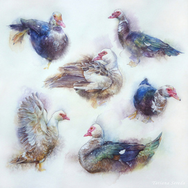 Watercolor geese