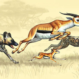 Book illustration