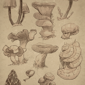 Mushrooms speedpaint