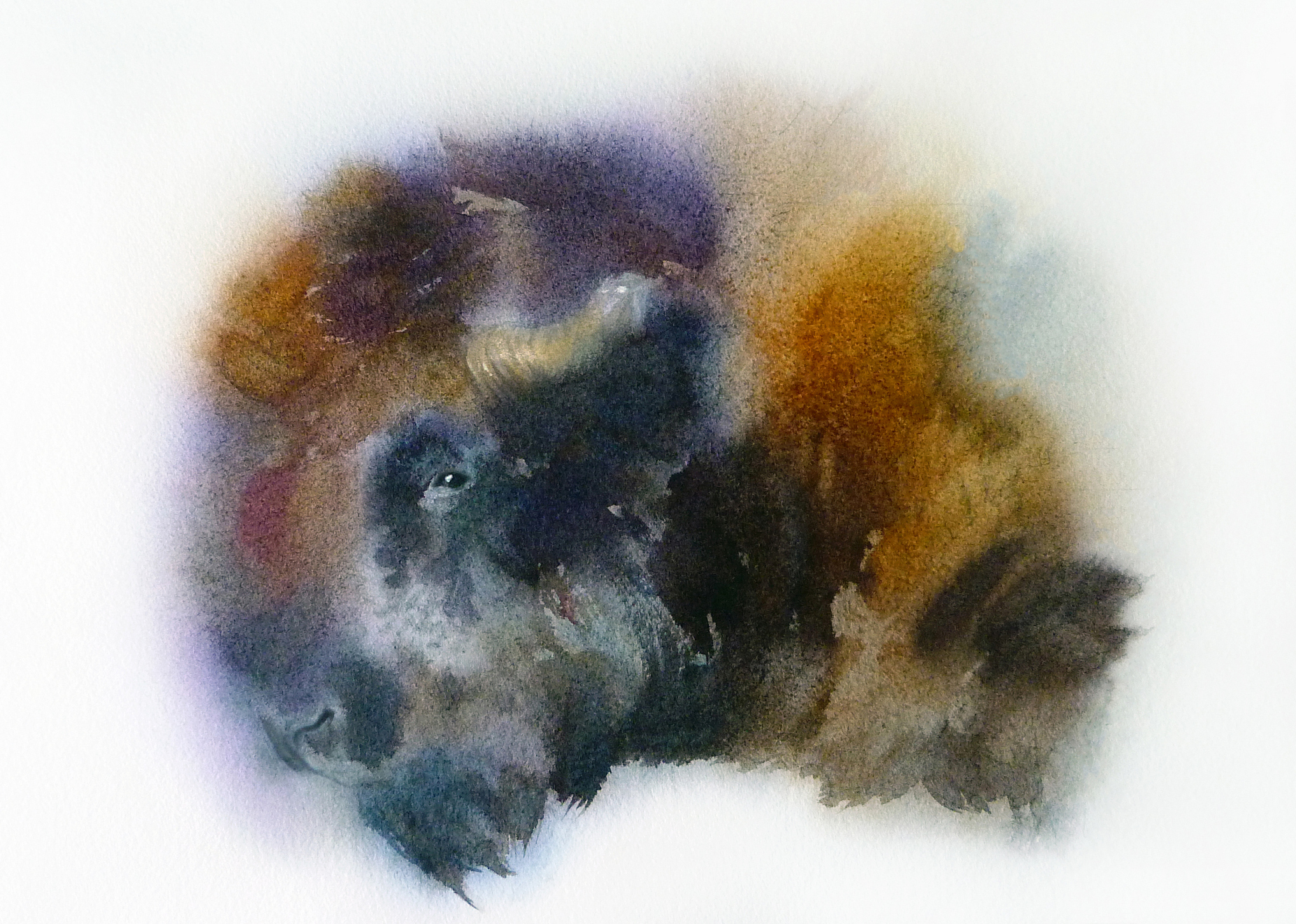 Watercolor bizon