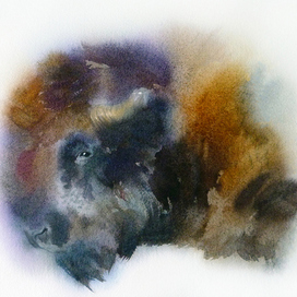 Watercolor bizon
