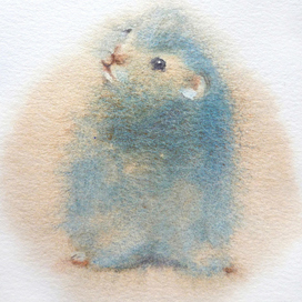 Blue hamster