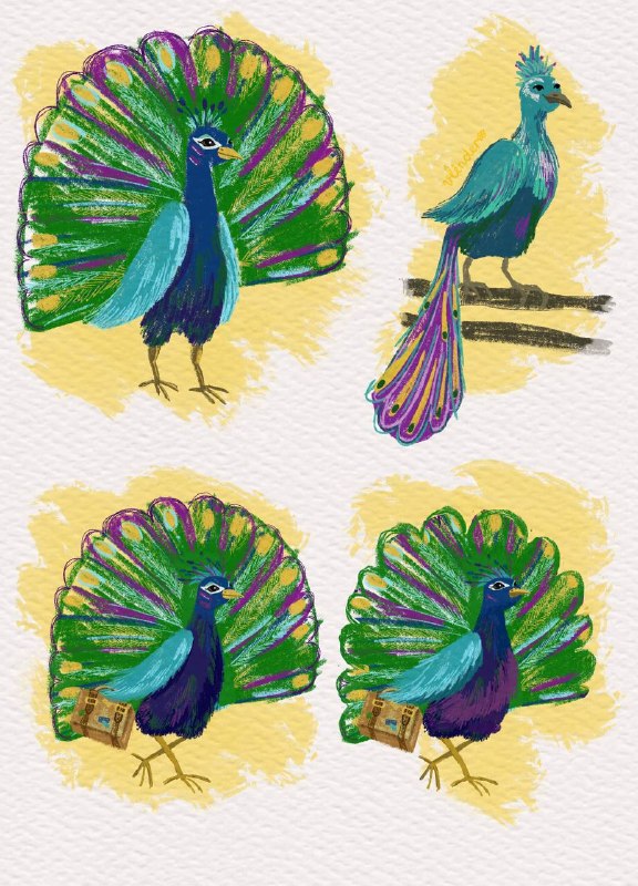 Peacock character development