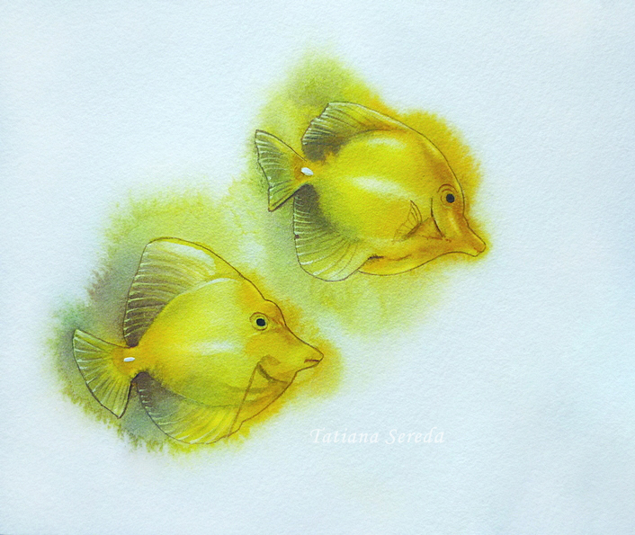 Watercolor fishes