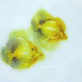 Watercolor fishes