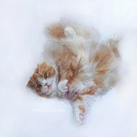 Flaying cat