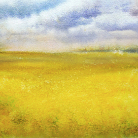 Rapeseed field
