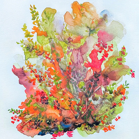 Floral abstraction