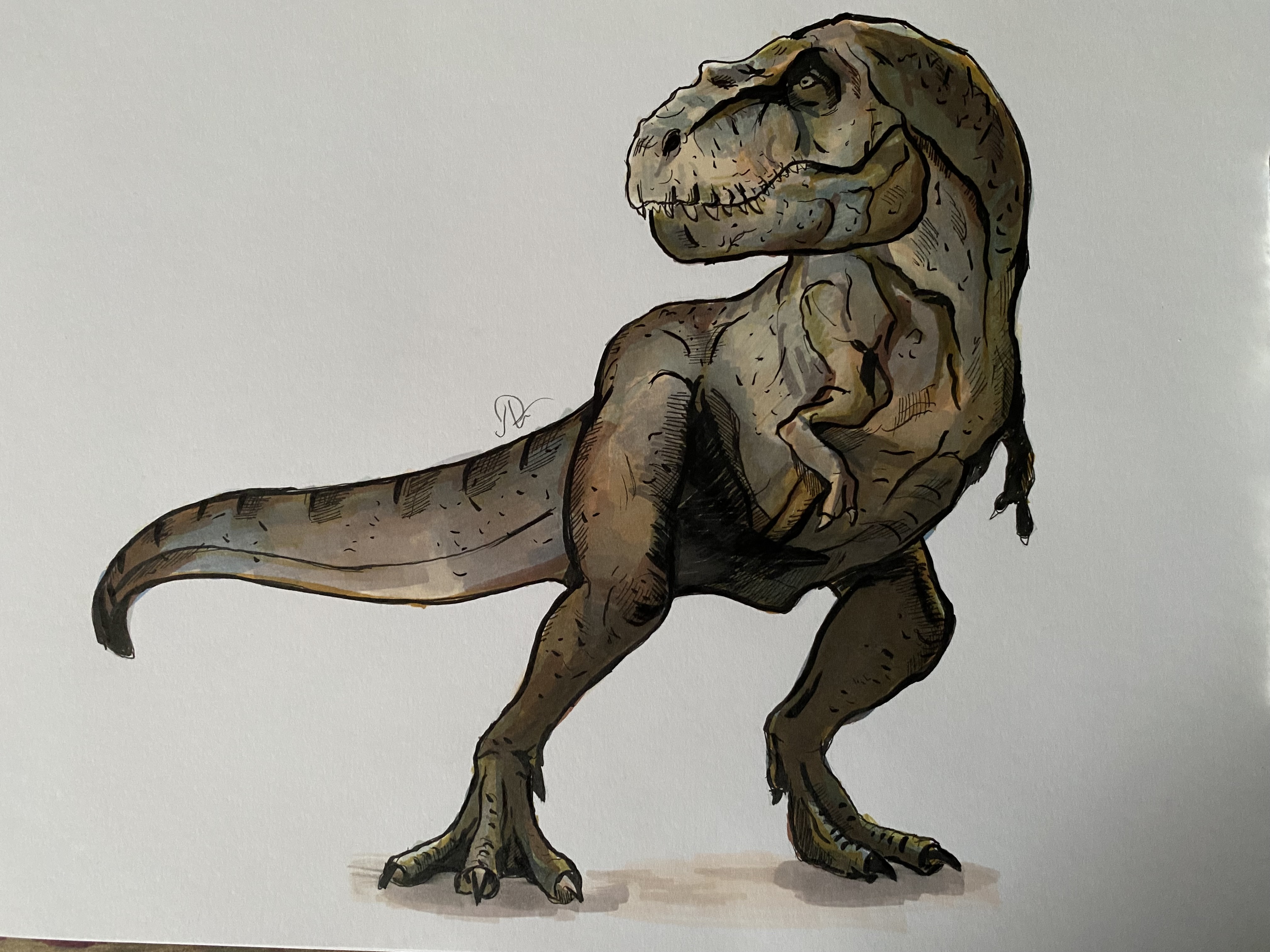 The Tyrannosaurus