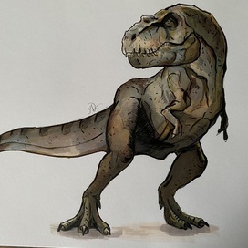 The Tyrannosaurus