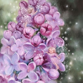 Lilac's fairies