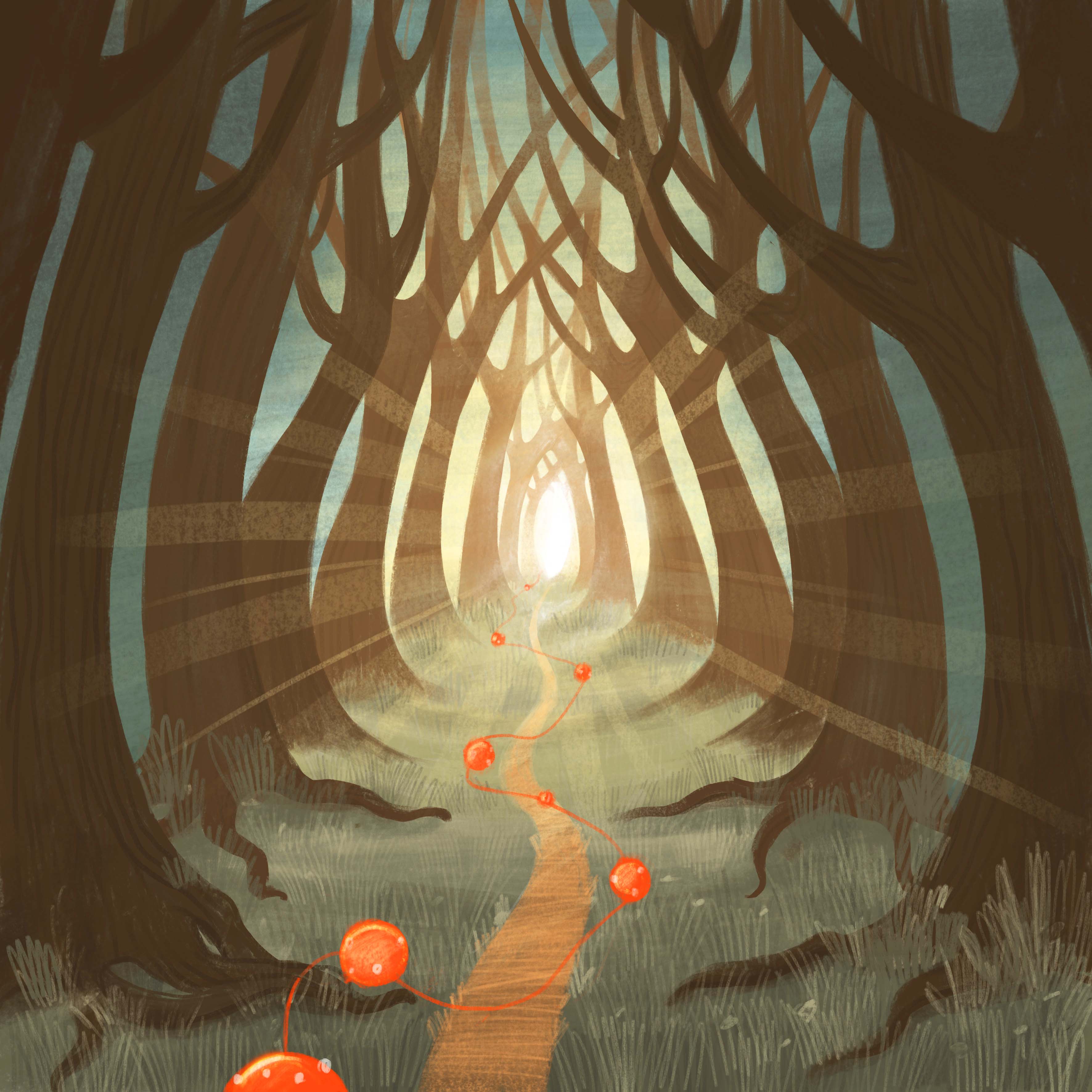 Journey Through the Forest