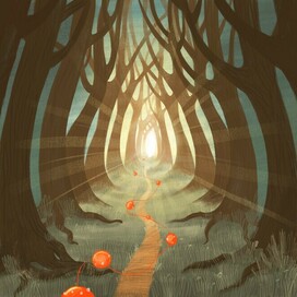 Journey Through the Forest