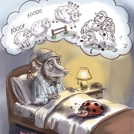Counting Sheep