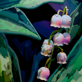 Lilies of the valley